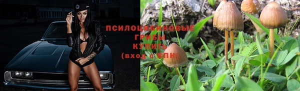 мяу мяу кристалл Медвежьегорск