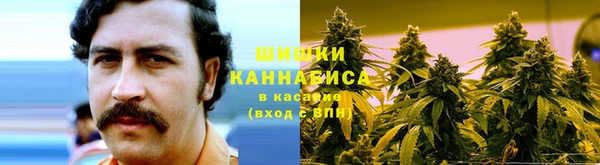 spice Мегион
