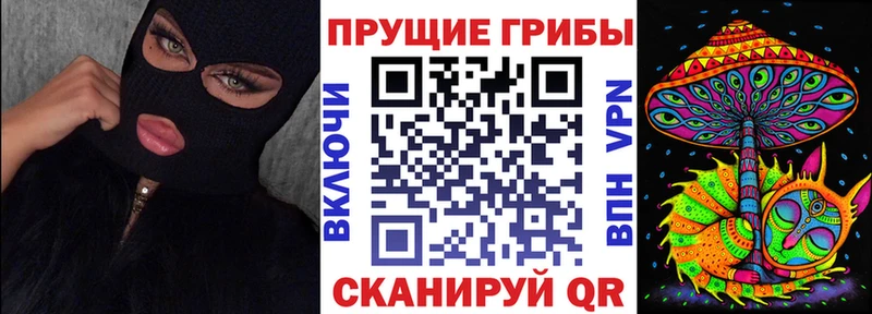 Псилоцибиновые грибы Cubensis  Талица 